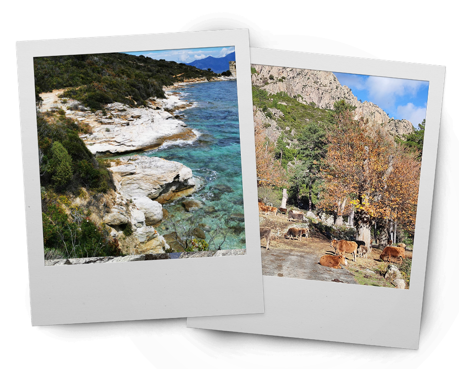 Marie Milbacher - Reiseleiterin auf Korsika