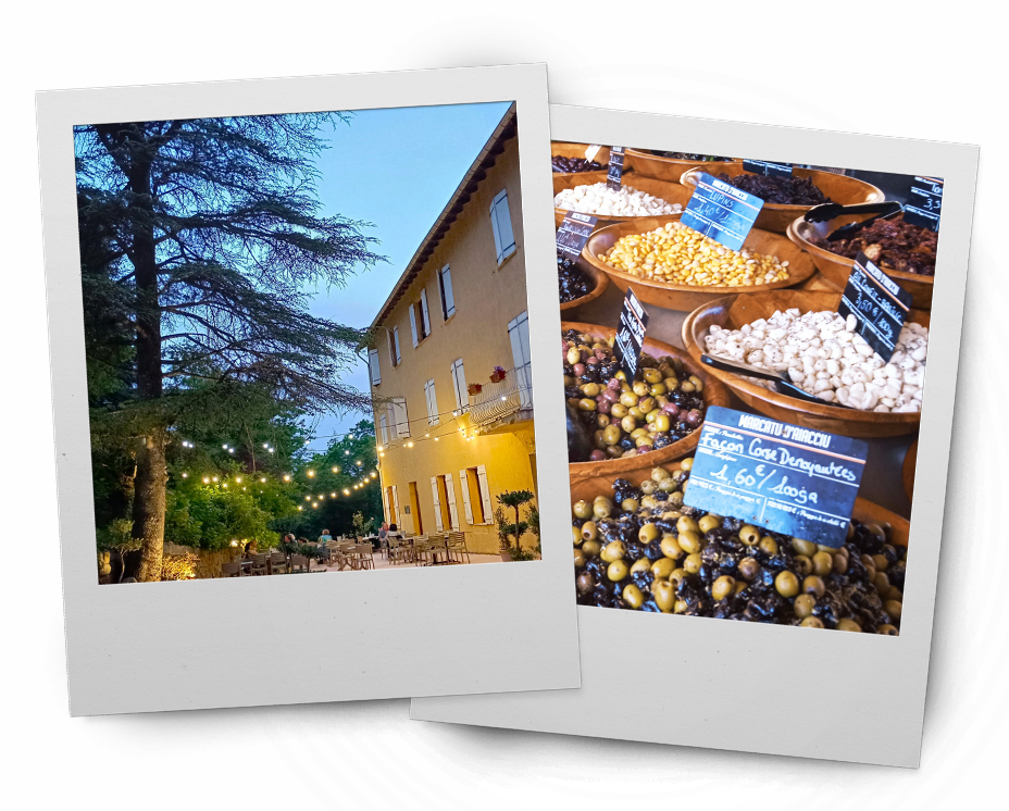 Marie Milbacher -Yoga Wanderreisen